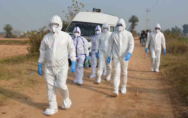 Bird Flu Outbreak In India 768X768 1