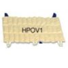 Compresa grande de 38x61 cm dynaheat caliente Cat DYN-HPOV1 Dynatronics