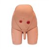 Simulador de cateterismo uretral y suprapubico masculino Cat. ZEG-SIM-CAT-M Zeigen