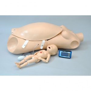 Torso maternal y maniqui